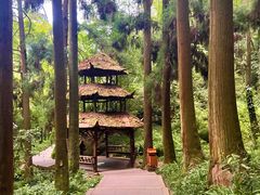 -青城山