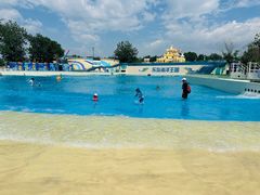 -秦皇岛乐岛海洋王国