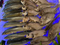 -杭州钱江新城万怡酒店-西餐厅