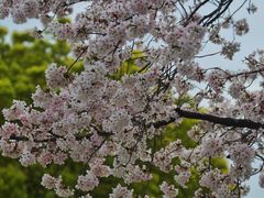 -永乐路-路侧停车场