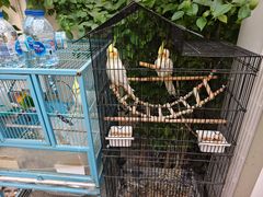 -丽江庭院之爱在路上(西单店)