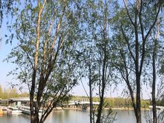 -大兴滨河森林公园