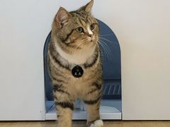 -啵啵喵·猫咖(攀华国际店)