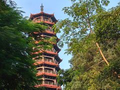 -红花山公园