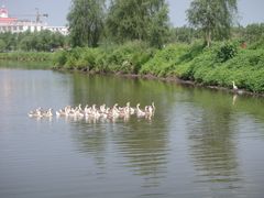 -白渔泡湿地公园