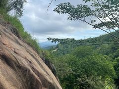 -广州白江湖森林公园