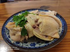 -九斤黄三黄鸡专卖店