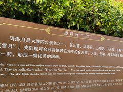 -南诏风情岛