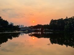 -月湖风景区