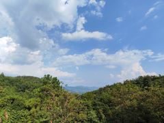 -广州白江湖森林公园