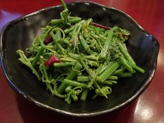 红薯苗-红色盛宴酒楼(科丰桥店)