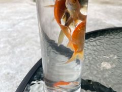 -杭州少年儿童公园