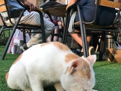 -DK45丹麦家居生活馆·依诺维绅(798店)