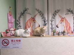 -齐伽生活馆·瑜伽·普拉提·阿育吠陀