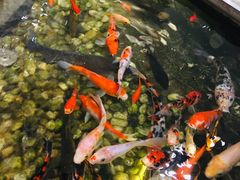 -衡山汇·高级粤菜(霄云路店)