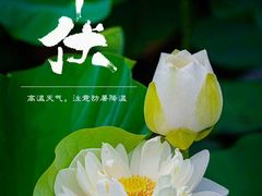 -大宁公园
