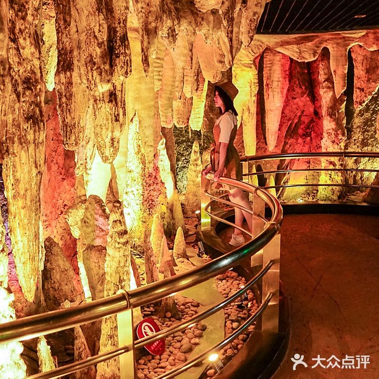 广州越秀公园不只是公园,还有自然博物馆