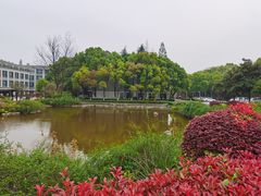 -南京国际会议大酒店