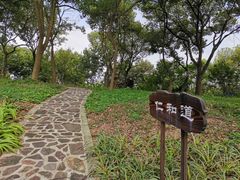 -上海市保健医疗中心