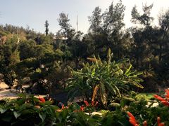 -厦门园林植物园-植物园滴水山房