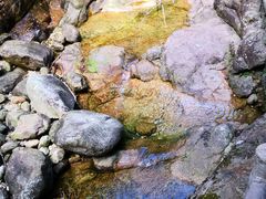 -祁门牯牛降观音堂风景区