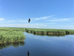-黑龙江扎龙生态旅游区