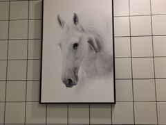 -Another Key健身(紫金店)