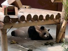 -杭州野生动物世界