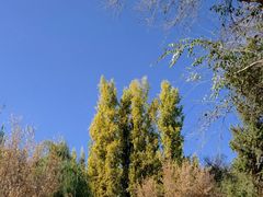 -水磨沟公园