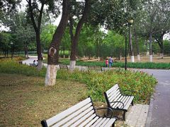 -永定河休闲森林公园