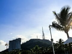 -野狸岛