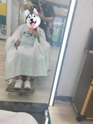 -新晨·SALON·形象造型