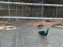 -厦门悦华酒店
