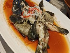 -望海湾海鲜楼·海鲜(河南路店)