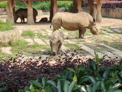 -杭州野生动物世界