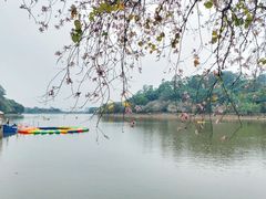 -南国桃园旅游度假区