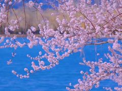 -颐和园