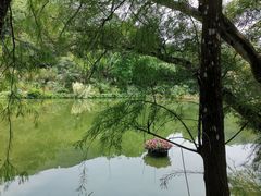 -深圳仙湖植物园
