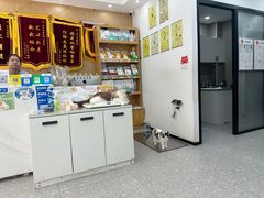 -四月宠物医院·猫专科·心脏专科·内科(转塘店)