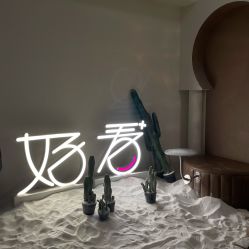 -好看加白色房子