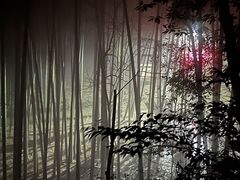 -缙云山景区