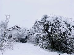 -瓦屋山景区