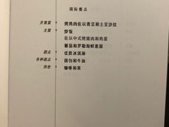-新加坡航空公司(ION)
