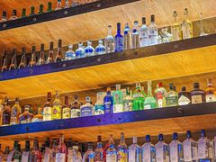 -Famous肥猫墨西哥音乐餐吧(五棵松华熙LIVE店)