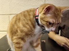 -逃脱反斗城沉浸剧情密室(北京路店)