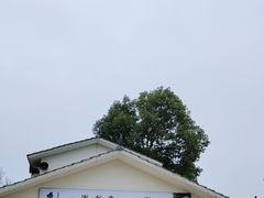 -桤木河湿地公园