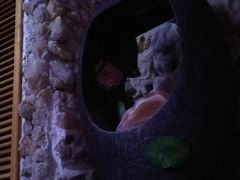 -水晶之星洗浴温泉汗蒸