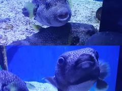 -南昌融创海世界