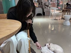 -藏猫猫咖啡主题馆(中央大道店)