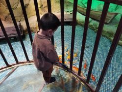 -酷嗒动物文化乐园(cutezoo西溪乐天城店)